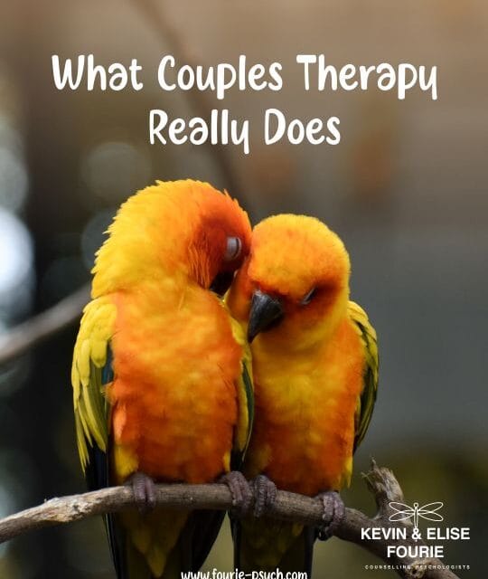A Practical Guide to Couples Counselling